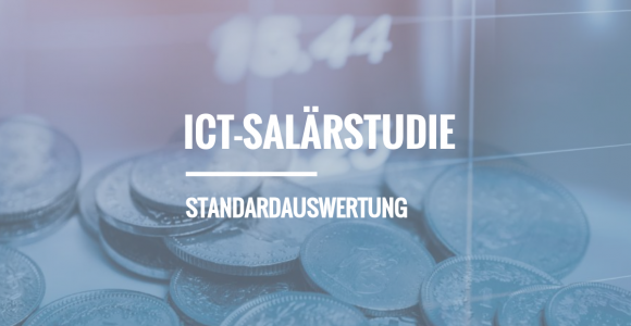 ICT-Salärstudie Standardauswertung