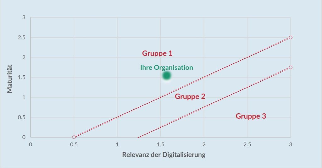 Grafik Gruppenzuordnung einer Organisation im Checkup-Ergebnis-Report
